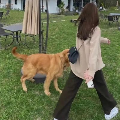 男孩、鼹鼠、狐狸和马